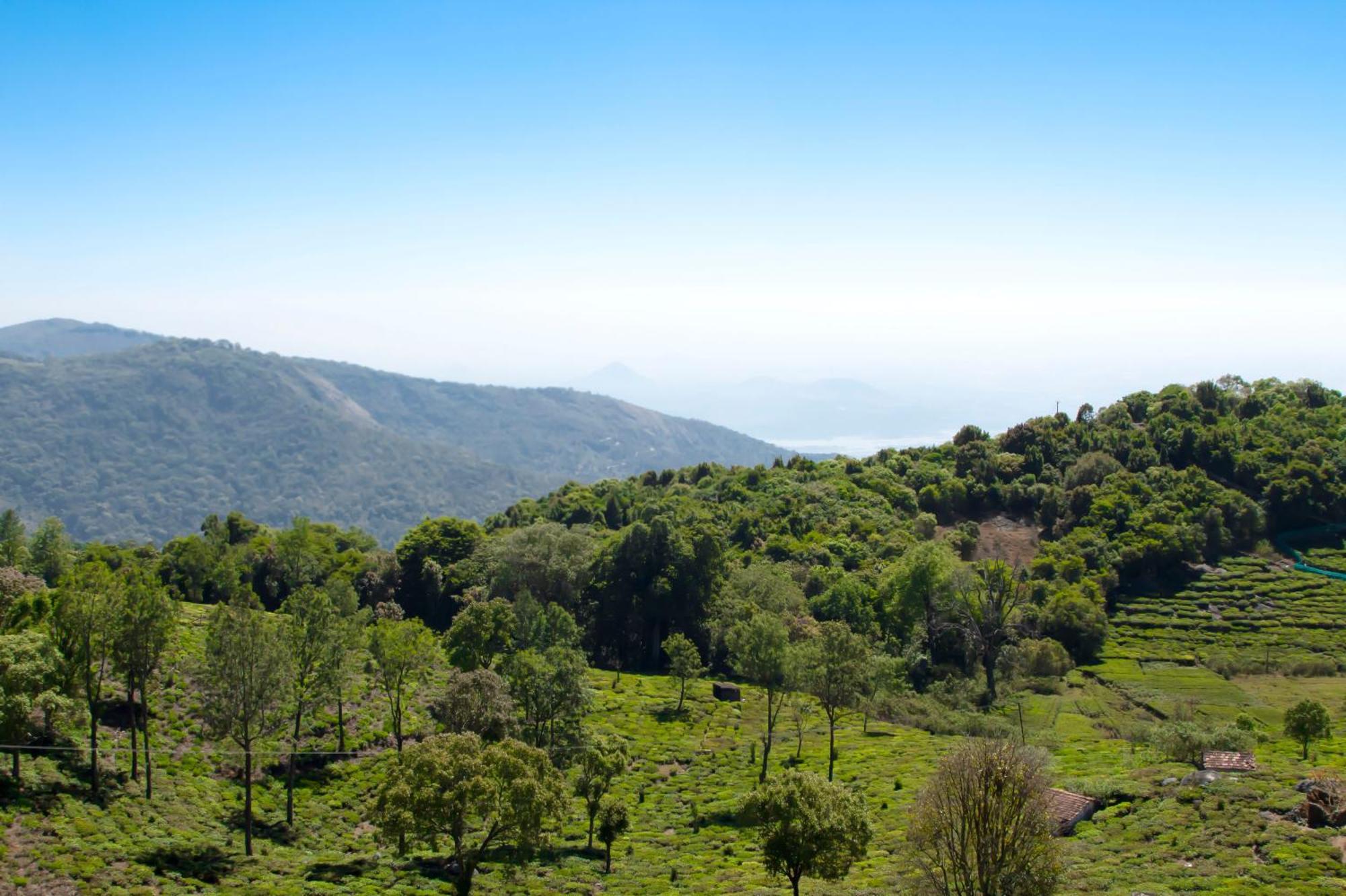 The Royale Ridge Hotel Kotagiri Exterior photo